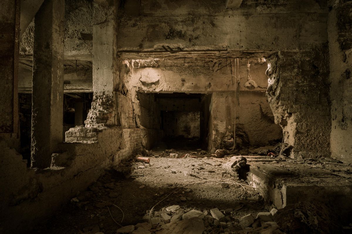 Déshumidifier sa cave quels appareils choisir ? Astuce rangement